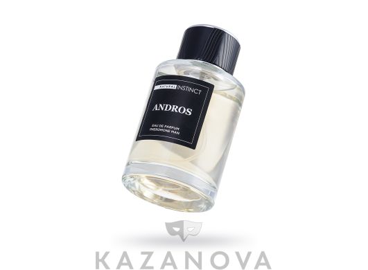 Парфюмерная вода мужская Natural Instinct Andros 100 мл